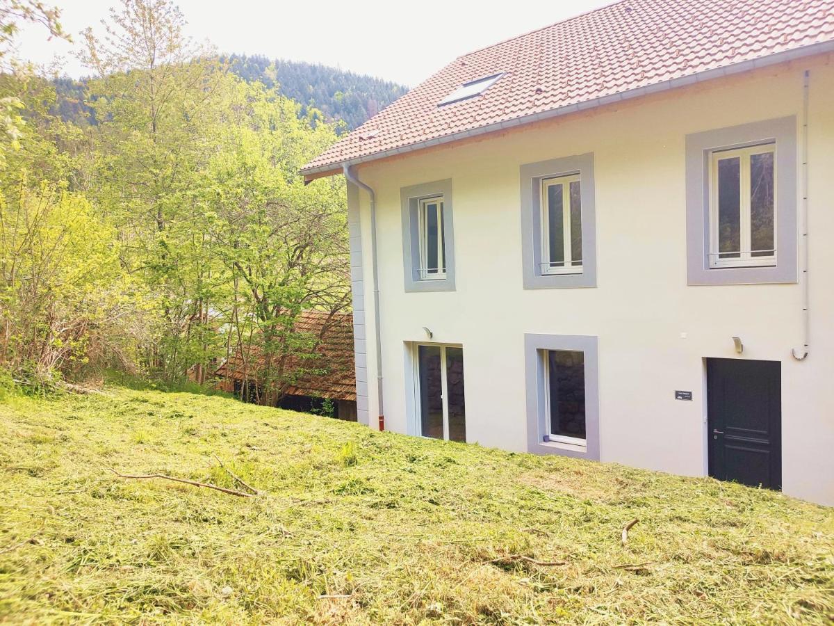 ⁂⁂ Le Grand Duc Appartement Cledicihome / Magnifique Vue Sur Les Montagnes / 4 Kms De Gerardmer ! ⁂⁂ Rochesson Exteriér fotografie